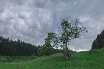 Summer landscape with storm clouds in bad weather
