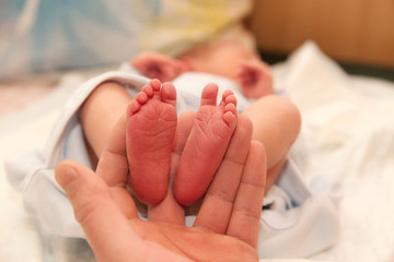 Infant heels in  mother's  hands