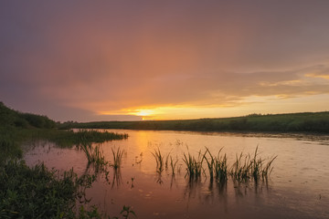Fototapeta na wymiar Summer landscape with the river in the rain at sunset. Ugra River in the Smolensk region