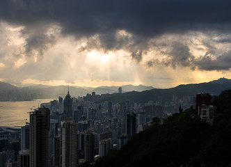 view of the city and the bay from Victoria Peak