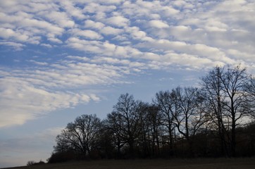 beautiful cloudy sunset