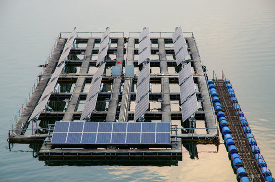 Floating solar cell