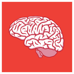 Human brain profile illustration on red background