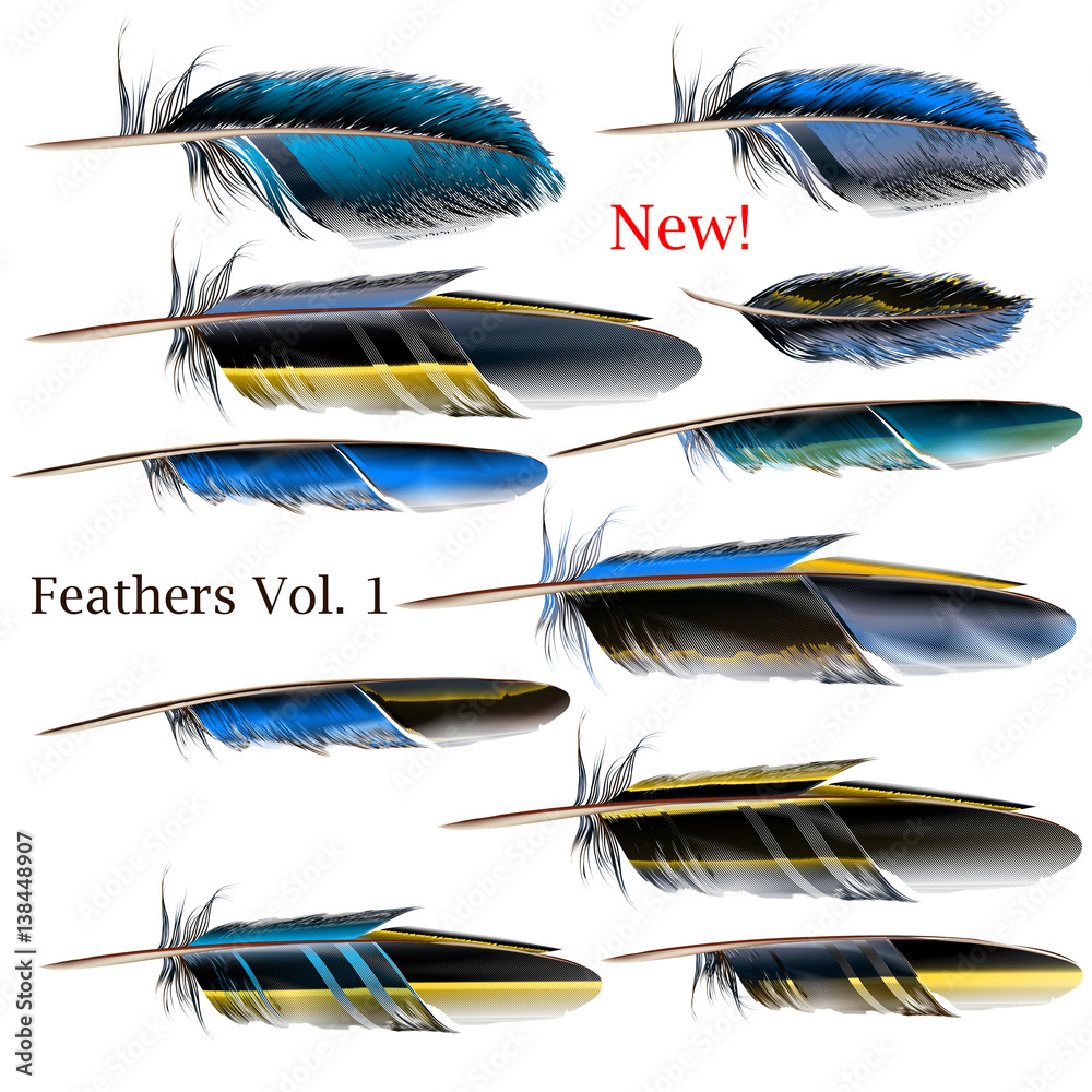 Poster collection of blue and yellow realistic vector feathers for design