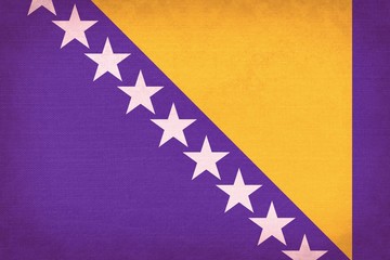 Bosnia and Herzegovina flag texture