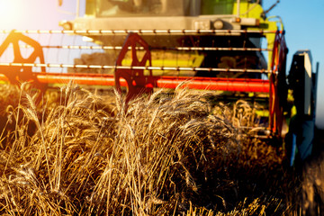 Closeup of harvesting machine working at field in sunny morning