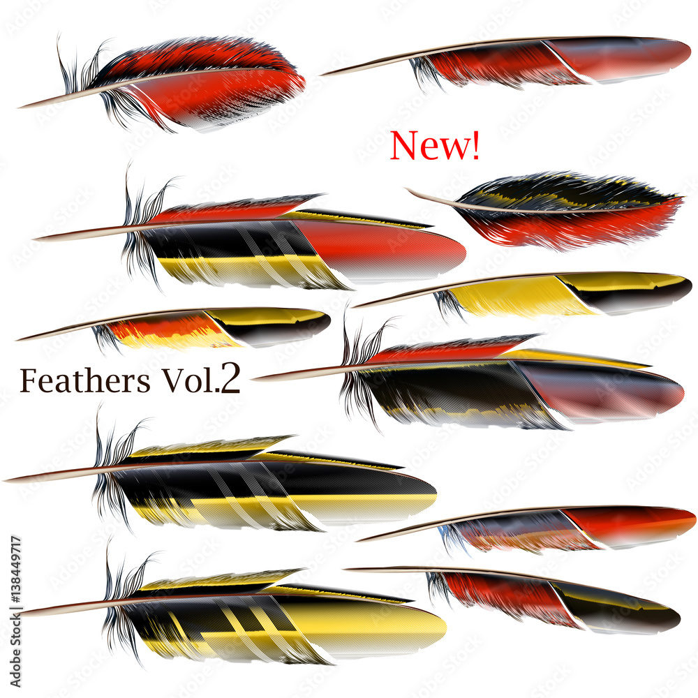 Poster Set  of red and yellow realistic vector feathers for design