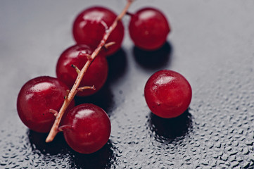red currant on a glaze of chocolate cake. Concept food