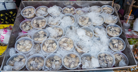 Oysters on the ice