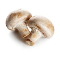 Fresh raw champignons