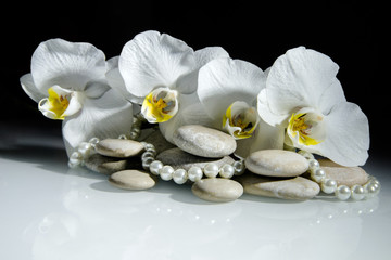     white orchids and pearls lie on the rocks