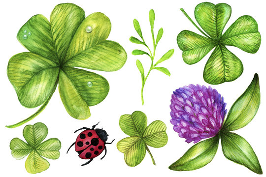 Hand Painting Watercolor Shamrock Elements