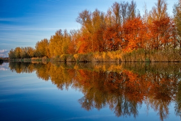 Autumn colored trees reflect in water