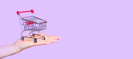 shopping cart on hand with dollars