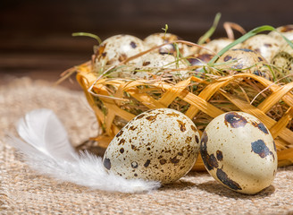 quail eggs with straw and feathers in basket on burlap wooden background, rustic style, close up