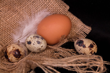 Obraz premium Quail eggs and chicken on sacking. Close-up.