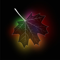 Maple silhouette/Silhouette of a maple on a colorful background