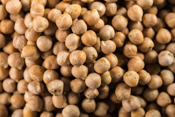 soybean on wooden table