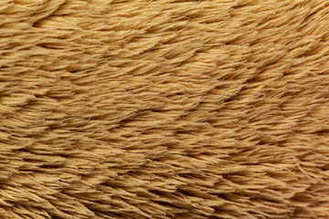 textile background