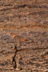 wooden background