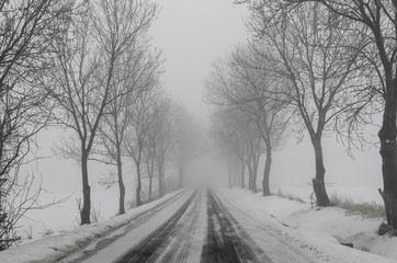 Winter landscape, country road in the fog surrounded by trees