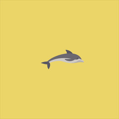 dolphin icon flat design
