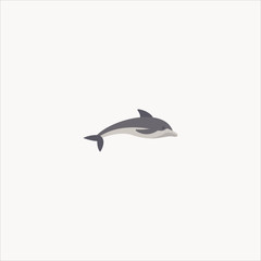 dolphin icon flat design