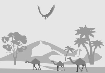 Arabian desert, oasis with palms, camels, vector monochrome