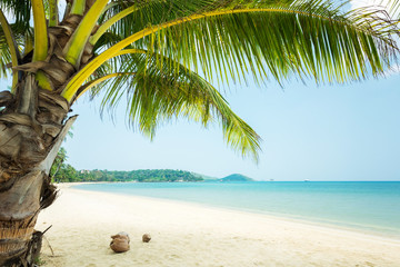 Beautiful tropical beach at Koh Mak Island, Thailand