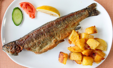 Fried fish ,trout on white plate closeup
