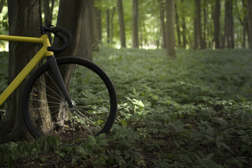 Fototapeta na wymiar Yellow fixed gear bicycle in the woods