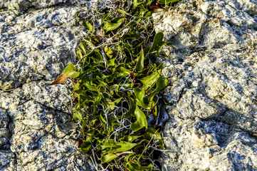 Parc Natural de Cap de Creus, Spain, Catalania, Cadaques