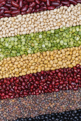 Multicolor dired legumes for diagonal background, Vertical different dry bean for eating healthy