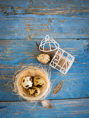 quail eggs on a blue wooden background