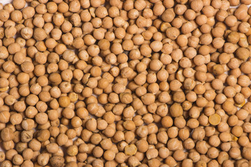 Texture chickpea fruit