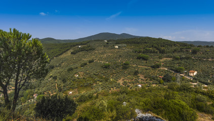 San Giovanni alla vena near Near the city Pisa, Toscana,Italy, Europe