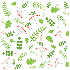 Pattern with autumn leaves of different trees. Vector illustration