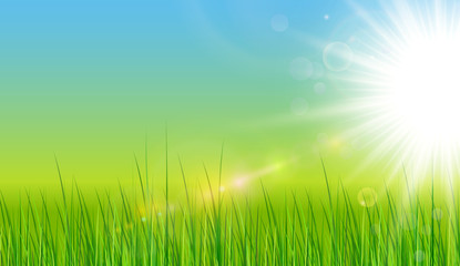 Fototapeta na wymiar Green background with sun grass and lens flare. vector spring background