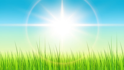 Obraz premium Green background with sun and grass, spring background