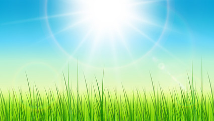 Fototapeta na wymiar Green background with sun and grass, spring time