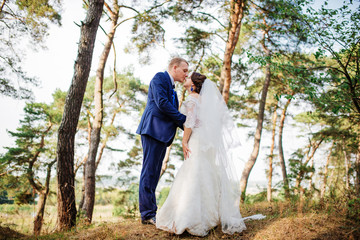 Bride and groom at pine forest, lovely wedding couple at nature.