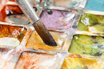 Set of watercolor paints and paintbrushes for painting