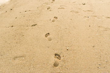Fototapeta na wymiar Footprints on the sand at sunset time.