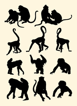 Monkeys animal silhouette. Good use for symbol, logo, web icon, mascot, sign, or any design you want.