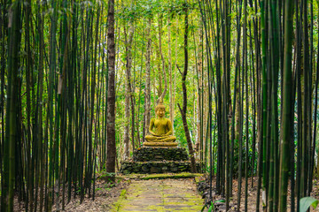 Statue de Bouddha au milieu de la forêt de bambous.