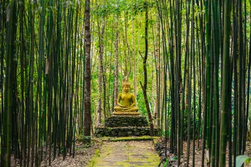 Crédence de cuisine en verre imprimé Bouddha Statue de Bouddha au milieu de la forêt de bambous.
