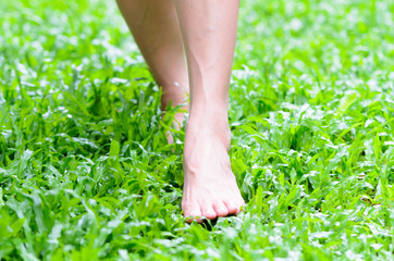 Naklejka na ściany i meble Foot step on green grass