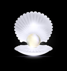 dark, white pearl and shell