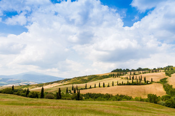 Fototapeta premium winding road flanked with cypresses in crete senesi Tuscany, Italy