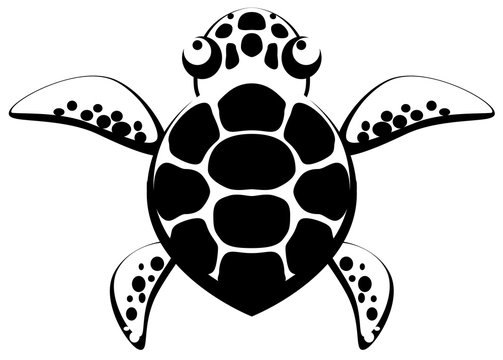 Turtle Stencil
